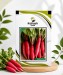 Red Radish - Image 1